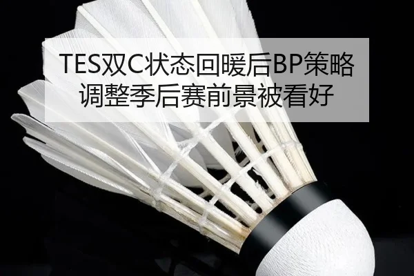 TES双C状态回暖后BP策略调整季后赛前景被看好(CrownSPORTS)